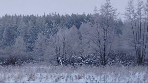 ❄️❄️❄️❄️Вьюга❄️❄️❄️❄️❄️❄️❄️