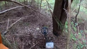 ✔️КОП МЕТАЛЛА — НЕОБЪЯТНЫЕ КРАЯ И КРУПНЫЕ НАХОДКИ ИЗ ЛЕСНОЙ ГЛУШИ!