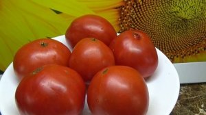 Томатные Гномы. Гном Сердце Скарлет очень простой! Поспел самым первым, дал много плодов. №850.