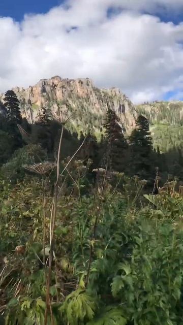 Рай- Краснодарский край! смотреть онлайн