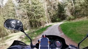 Мопед Nordwing заезд по лесу 1