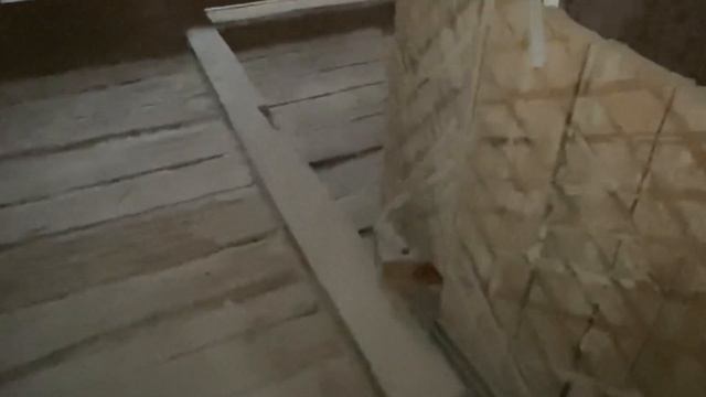 Вывезли 15 тонн строительного мусора! Так должен выглядеть демонтаж при ремонте в старом фонде! смотреть онлайн