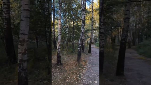 Хорошо, когда есть лучший друг... смотреть онлайн