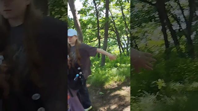 Оздоровительный детский летний лагерь в Подсолнухе г. смотреть онлайн