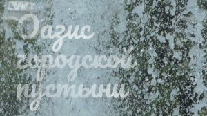 Оазис городской пустыни