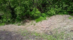 Полив, профилактическая обработка по листу и другие работы