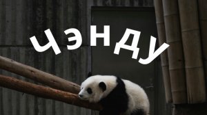 ЧЭНДУ. КИТАЙ
