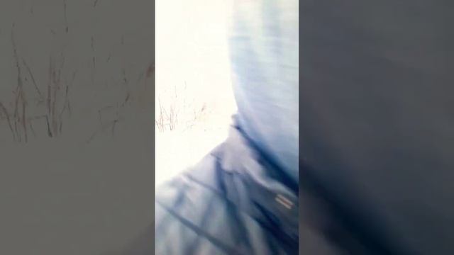 Как муж встречает с работы #music #cover #село #dance #song #алтай? смотреть онлайн