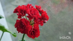 МОЯ ДЕРЕВНЯ НА АЛТАЕ, ВЛОГ, ЖИЗНЬ ЗА ГОРОДОМ,ХОЗЯЙСТВО НА ПРИРОДЕ