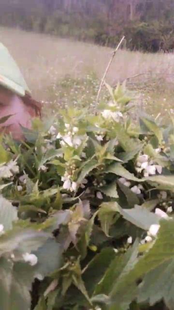 #ЖИЗНЬ НА #ЗЕМЛЕ #ПРЕКРАСНА ВСЕГДА ЕСТЬ ДЕЛА И ИХ МНОГО. смотреть онлайн