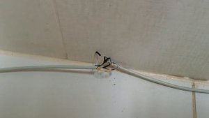 Асик antminer Z15 что с ним случилось??? никто такого не ждал