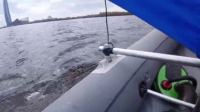 Первые эмоции от паруса Воронцова