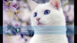 Бог есть любовь .Христианская песня