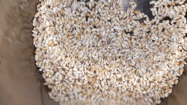 Перловая каша вкусный и простой рецепт смотреть онлайн