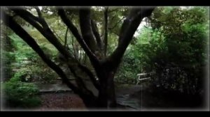 John Lennon  -  Imagine