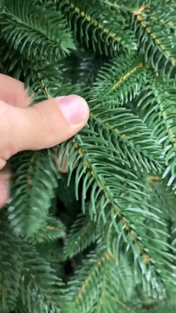 Елка искусственная Тюменская литая 2024 TrotsShop смотреть онлайн