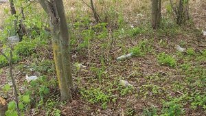 Берегите природу - почему важно убирать мусор и как это сделать