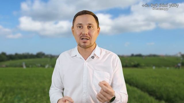 Долгосрочные инвестиции на Бали не работают | Недвижи?