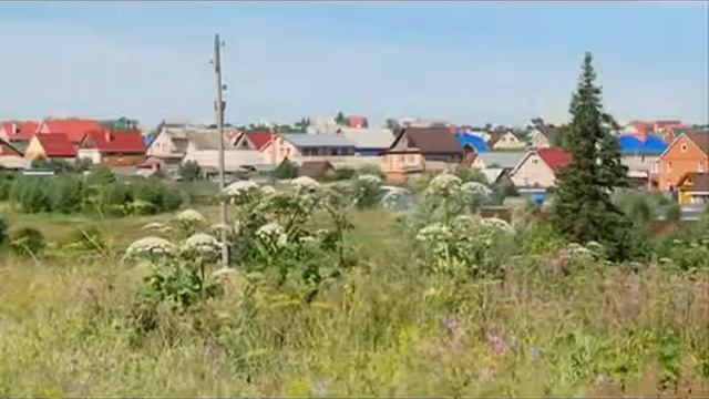 О борьбе с борщевиком Сосновского в Удмуртии смотреть онлайн