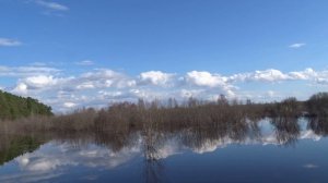 Сибирь. Природа. Май 2025.