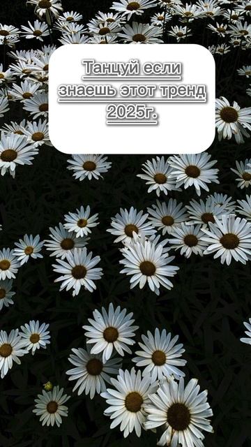 Танцуй если знаешь этот тренд 2025г. смотреть онлайн