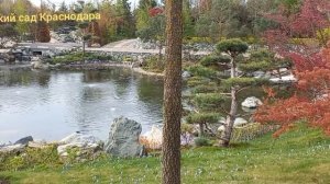 парк Краснодар-японский сад и музыка японии