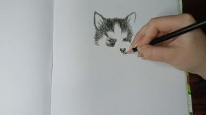 Как нарисовать хаски цветными карандашами 🐶