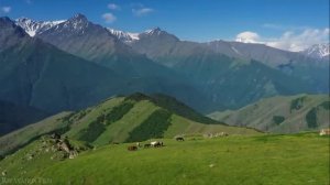 "Все в нас"11