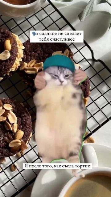 Есть такое чувство после сладкого #лента #приколы #шор? смотреть онлайн