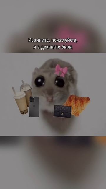 Какие еще есть оправдания? юмор учеба школа опоздан?