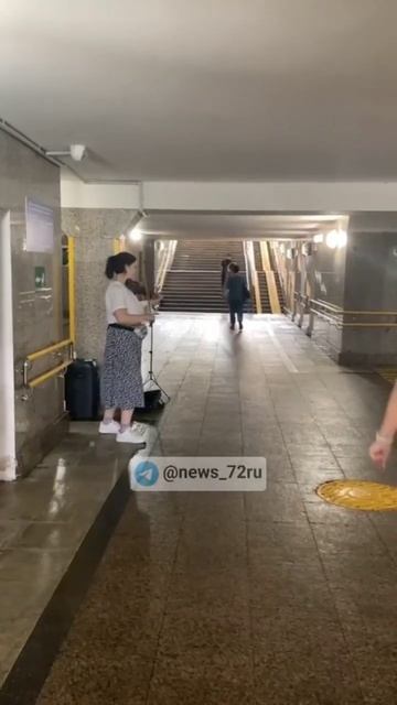 Уличная музыка. Скрипачка в переходе.🎻 #тюмень #скрип смотреть онлайн