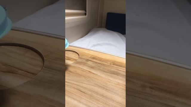 Псков поезд Москва смотреть онлайн