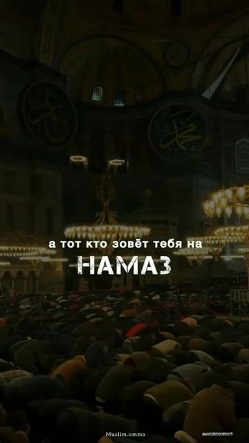 у кого есть такой друг #fypシ #cupcut #frends #друзья #лучшее #н? смотреть онлайн