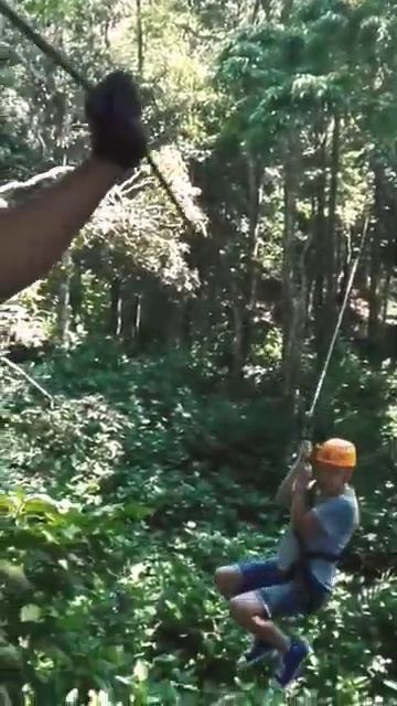 Тропический лес,зиплайн #shortvideо #thailand #forest #развлечения смотреть онлайн