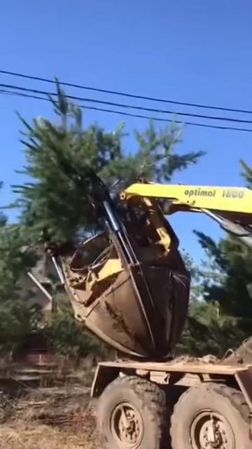 Пересадка деревьев, нашей спец техникой. смотреть онлайн