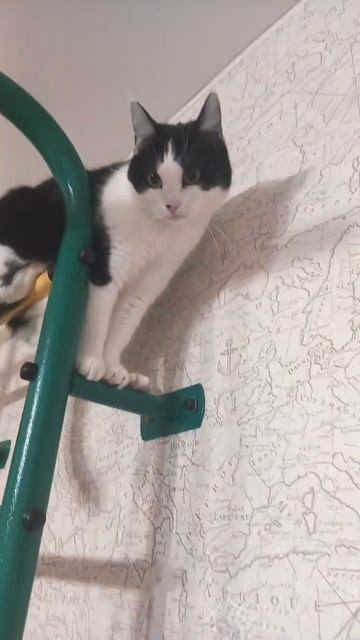 оказывается есть вещи пострашнее... смотреть онлайн