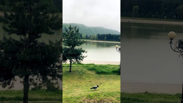 Нальчику от души