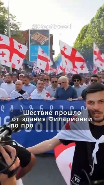 Многотысячное шествие «Грузинской мечты» по Тбилиси #