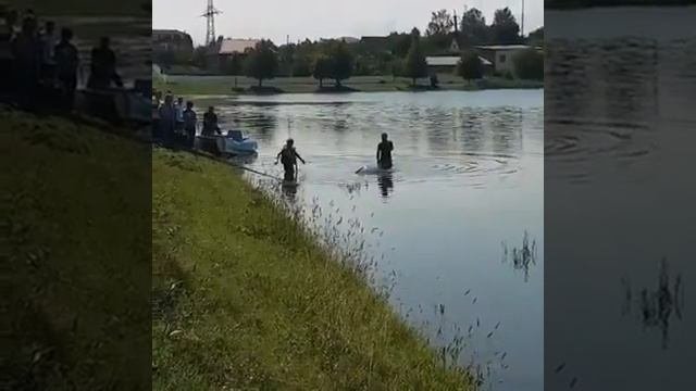 Мерседес упал  в пруд