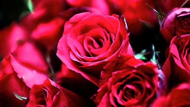 Хорошие русские хиты музыки с тв онлайн смотреть онлайн