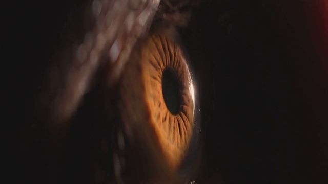 10 невероятных фактов о нашем теле