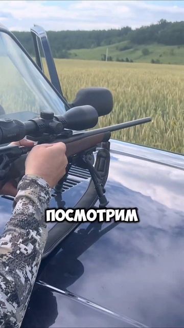 Новый рекорд | Охота на сурка с карабином #nighthunter #тепловизор #тепловизоры #охота #тепловизор