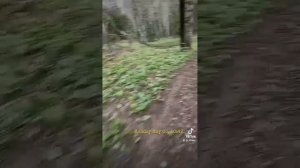 Быстрая разминка.