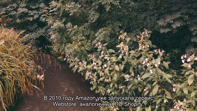 СМИ: Amazon разрабатывает новую POS-систему, чтобы конкури?