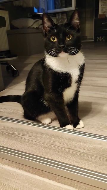 У тебя есть Я.#shorts смотреть онлайн