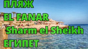 Пляж EL FANAR Шарм-эль-Шейх #путешествия