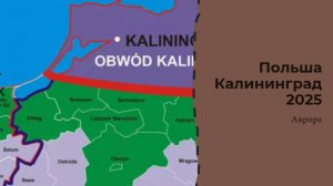 ТАРО #Аврора #гадание  Польша Калининград 2025