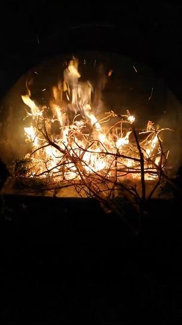 Перед уличным камином (01.08.2020) смотреть онлайн