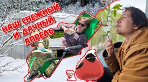 НАШ АПРЕЛЬ! БЫЛИ ЛИ НЕДЕЛИ СУМАСШЕДШИМИ? ВЛОГ О ТОМ, КАК МЫ МЕРЗЛИ НА ДАЧЕ.