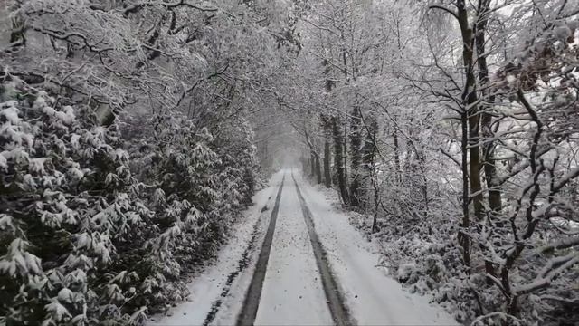 Моя сестра близняшка попросила меня быть невестой на ? смотреть онлайн